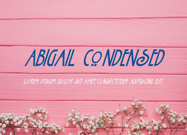 Abigail Condensed example
